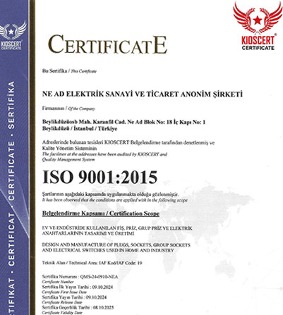 ISO 9001 